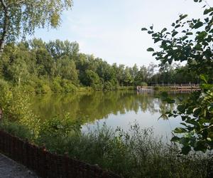 Park Leśny Tetmajera w Bronowicach