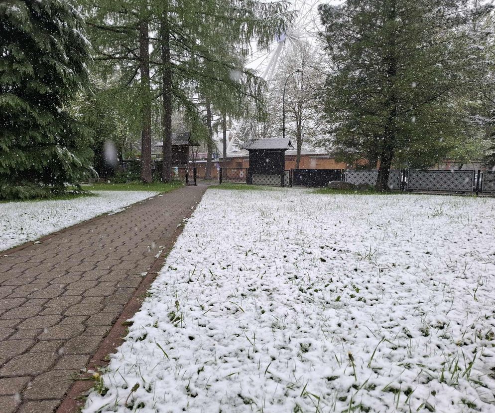 Śnieg w Zakopanem
