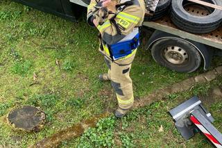 Strażacy uratowali kozę