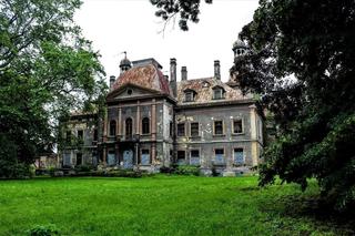 Zapomniany pałac w Mańczycach. Rezydencja z niezwykłym klimatem wciąż stoi pusta 