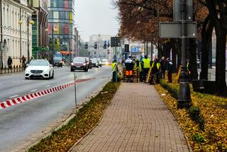 Znika nieużywana ścieżka rowerowa w centrum Szczecina. W zamian - tysiące kwiatów