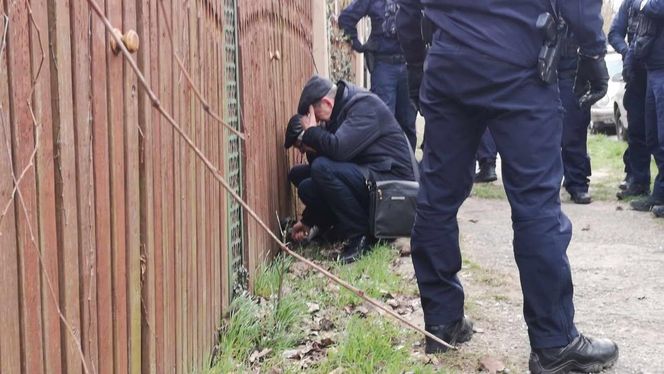 Awantura na ul. Sokolej we Wrocławiu