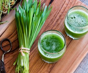 Trawa pszeniczna: właściwości i zastosowanie soku z trawy pszenicznej