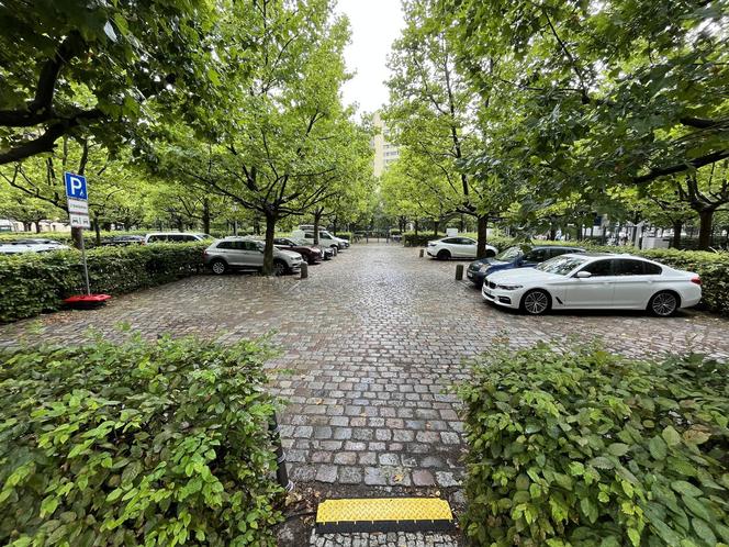 Radny chce likwidacji dzikiego parkingu w centrum Olsztyna. Ma pomysł na zagospodarowanie terenu