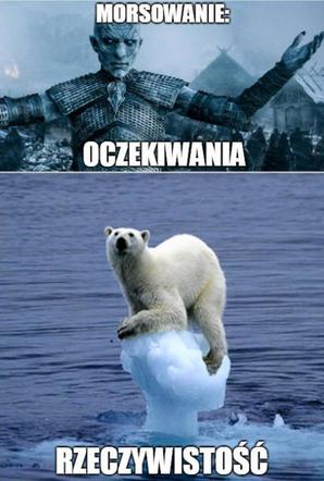 Morsowanie: MEMY 2021. Zobacz najlepsze obrazki i memy o morsowaniu! [ZDJĘCIA]