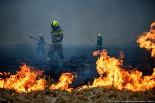 Pożar w Biebrzańskim Parku Narodowym - 30.03.2025