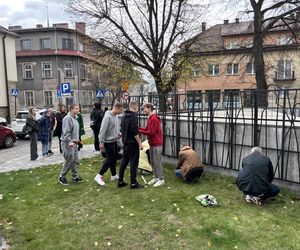 Uczniowie sadzili żonkile przy skwerze pamięci