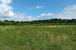 Nie żyje Jerzy Krzanowski