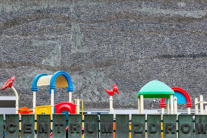 Instytut „Pomnik-Centrum Zdrowia Dziecka”