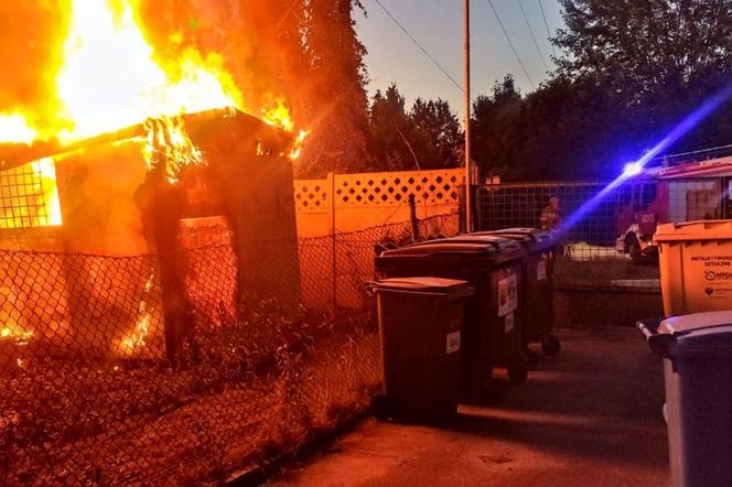 Kolejny pożar na ogródkach działkowych w Katowicach. Altana spłonęła całkowicie