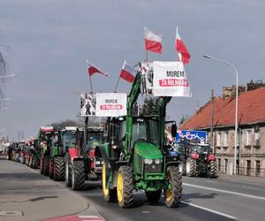 Rolnicy zostawili skrzynkę z obornikiem przed biurem europosła Krzysztofa Brejzy. To zapowiedź nowej formy strajku