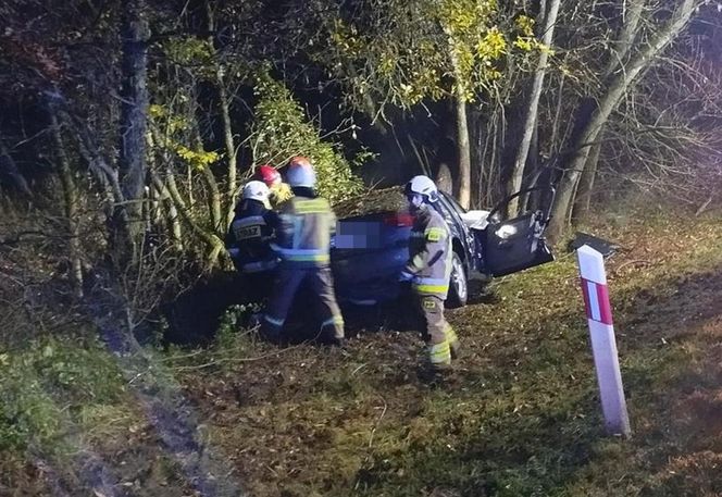 Śmiertelny wypadek pod Bełchatowem. 29-latka uderzyła audi w drzewo [ZDJĘCIA]