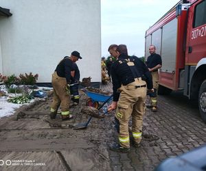 Nie ma większej armii w Polsce niż straż pożarna. Generał o udziale strażaków w operacji powodziowej