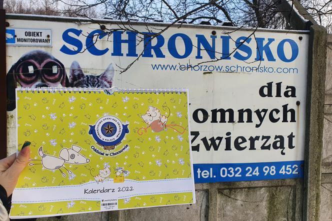 Kalendarz charytatywny Schronisko dla bezdomnych zwierząt Chorzów