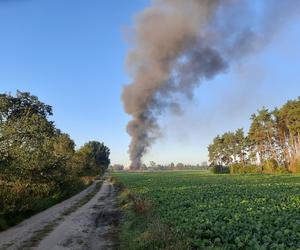 Pożar w fabryce mebli we wsi Łąkie pod Świebodzinem