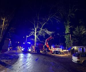 Gigantyczne drzewo runęło do dom jednorodzinny. Dramatyczna akcja ratunkowa w Warszawie