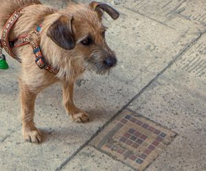 Marszałkowska Dzielnica Mieszkaniowa w Warszawie