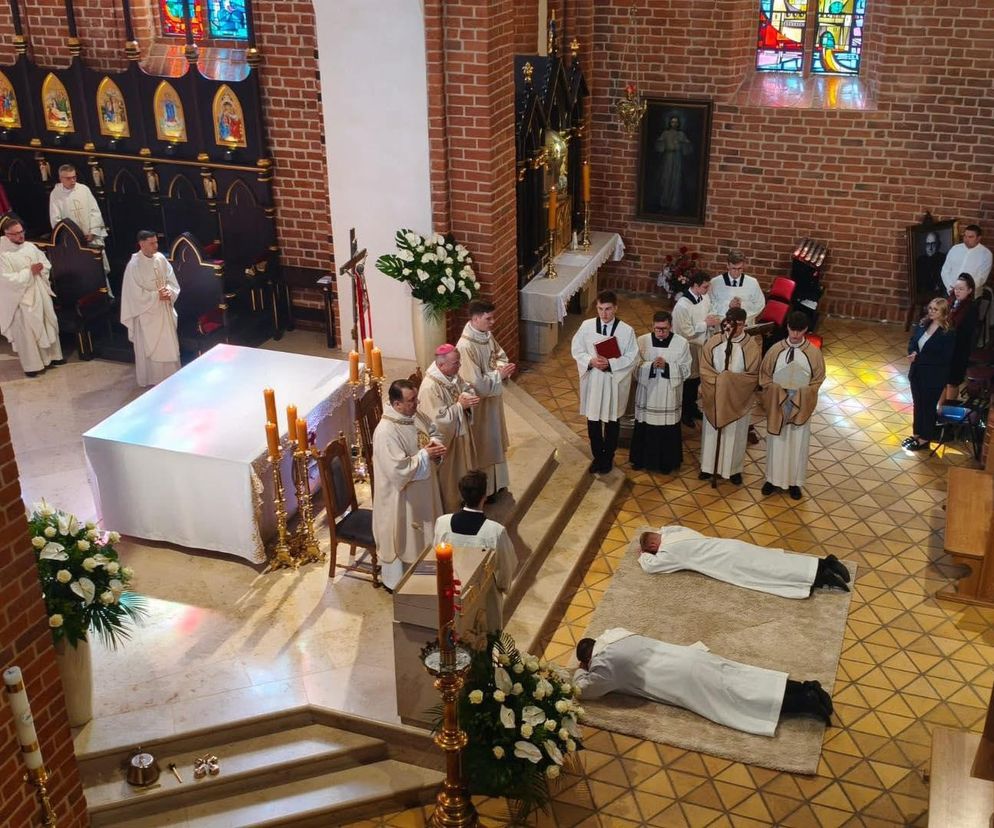 Święcenia kapłańskie w katedrze