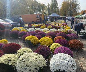 Tak wyglądają przygotowania do Wszystkich Świętych w Warszawie. Zobacz zdjęcia