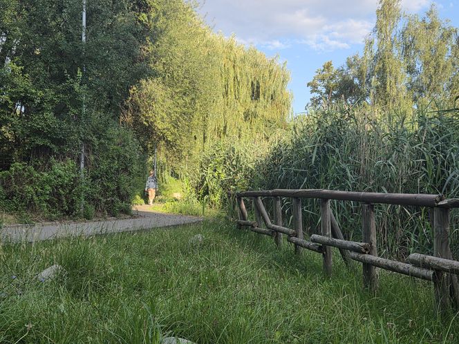 Zielona perła Bartodziejów. Odkryj uroki bydgoskiego Balatonu