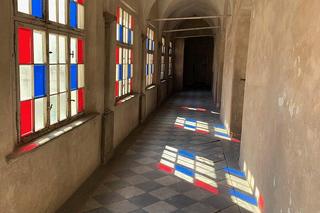 Zamek w Niemodlinie - zdjęcia. Zobacz zamek, który odwiedza stado danieli