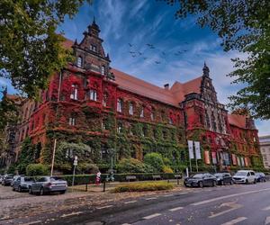 Tutaj złota polska jesień jest najpiękniejsza! Muzeum Narodowe we Wrocławiu aż lśni! [ZDJĘCIA]