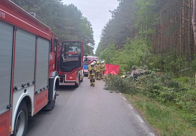 Zderzenie auta z łosiem zakończyło się tragedią