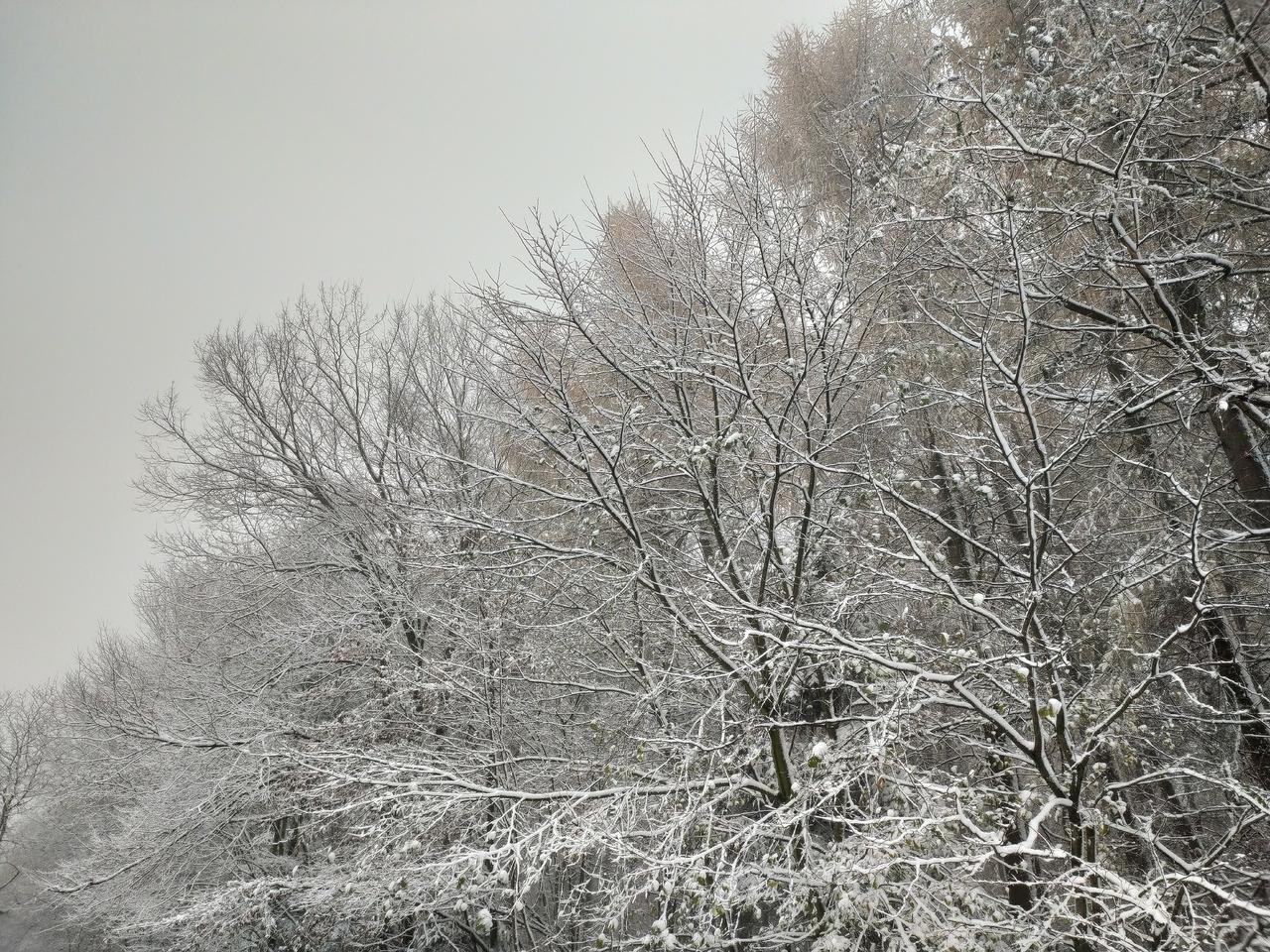 Boże Narodzenie: Śnieg na święta jest możliwy? Najnowsza długoterminowa prognoza pogody! 