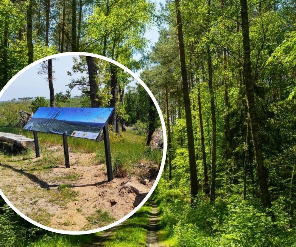 Prawie jak w Tatrach. Niezwykłe pasmo w Kujawsko-Pomorskiem. Oto najwyższe punkty województwa