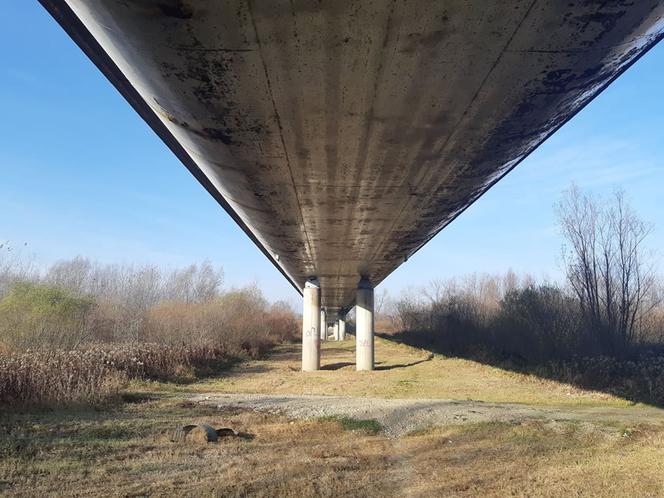 Stan zamkniętego mostu w Ostrowie był TRAGICZNY. Świadczą o tym zdjęcia