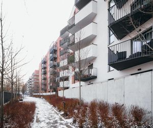 Bohema: adaptacja terenów poprzemysłowych na warszawskiej Pradze