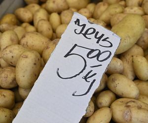  Ceny nowalijek na warszawskich bazarach szokują. Byliśmy i sprawdziliśmy ile trzeba zapłacić