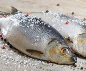 Świeży śledź: jak rozpoznać, czy jest rzeczywiście świeży?