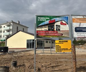 Dino w Sejnach