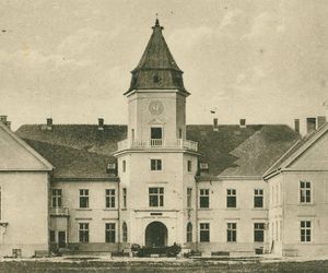 Zamek Tarnowskich w Dzikowie