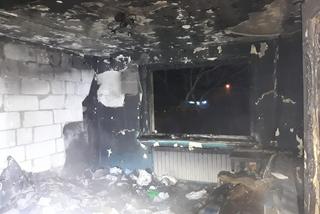 Tragiczny pożar w Borowie - nie żyje starszy mężczyzna