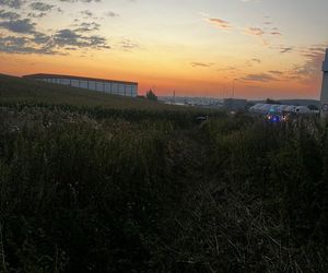 ​Zakończył jazdę... w polu kukurydzy. Policjanci ustalili, że to 21-latek z Gostynia