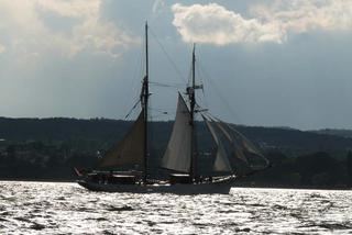 ParadaZagleGdyni2014_FotMZwierz_710029