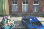 Raj dla szczurów w centrum Wrocławia. Z pięknej ulicy zrobiło się śmierdzące wysypisko śmieci 