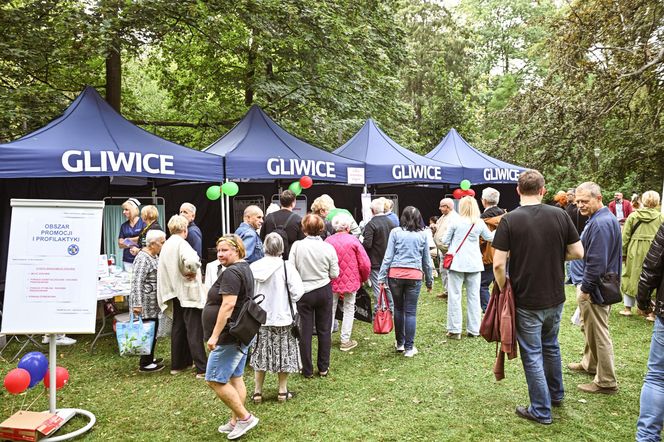 Agnieszka Chylińska, Oskar Cyms i inni. Tak świętowano Dni Gliwic