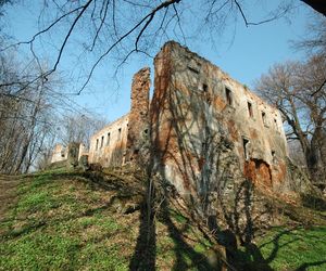 To jeden z najstarszych pałaców w Małopolsce. Mieszkańcy wsi widują w jego ruinach zjawę