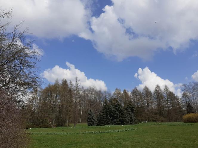 Łódzki Ogród Botaniczny obchodzi 50-lecie. To miejsce rozkwita i czeka na gości