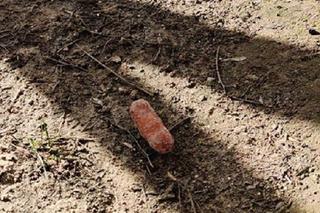 Gorzów: Znaleziono kolejne kiełbasy z żyletkami w środku