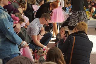 Miss i mister yorków w SCC