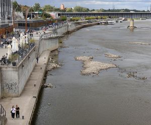 Rekordowo niski stan wody w Wiśle w Warszawie (23.08.2025)