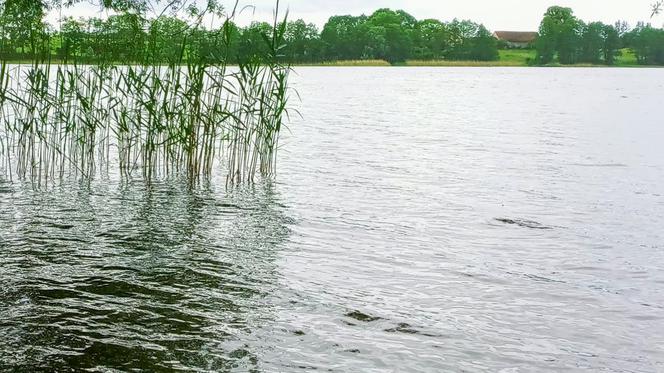 Tragedia pod Świdwinem. Z jeziora wyłowiono ciało kobiety