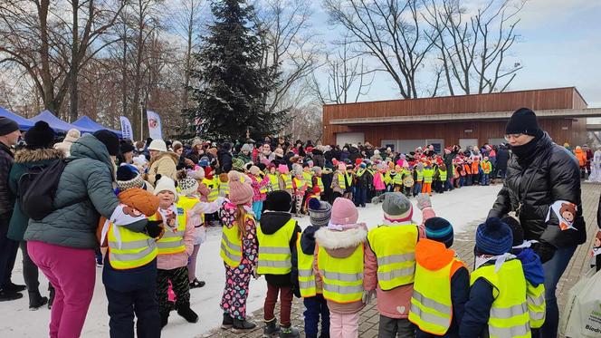 Ubieranie miejskiej choinki w Lesznie