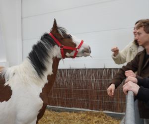 ZOOPARK w Lublinie. „Postawiliśmy na polski las. Chcemy promować nasze zwierzątka”