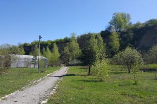 W Jaworznie powstanie tężnia solankowa