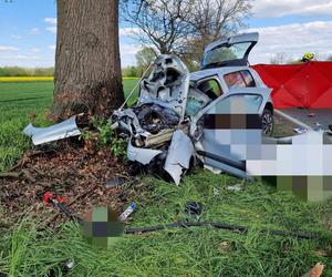 Wypadek na DK 46 na Opolszczyźnie. Osobówka rostrzaskała się na drzewie, nie żyje młoda kobieta 
